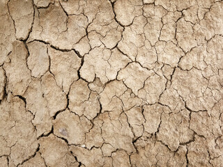 The ground has cracks in the top view for the background