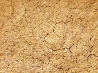 The ground has cracks in the top view for the background