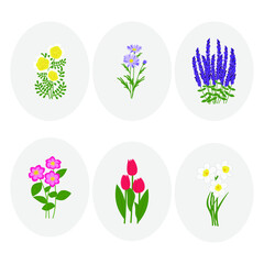 vector set of garden flowers