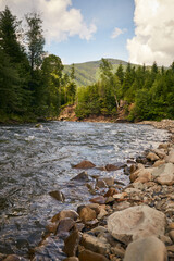 Beautiful ukrainian nature. Small river in old pine forest. Carpathian Mountains, Gorgany, Ukraine