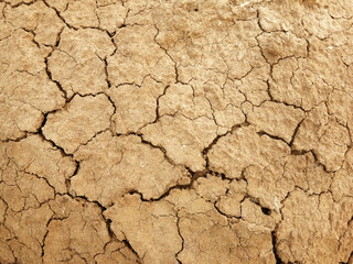 The ground has cracks in the top view for the background