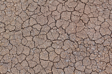 The ground is brown, cracked, barren that used to be waterlogged.