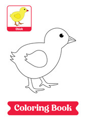 Chick coloring pages book