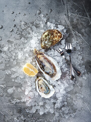 Oysters with lemon on ice on gray background close-up