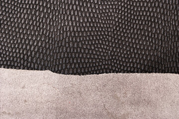 Fototapeta premium Set of diferent leather samples texture background.