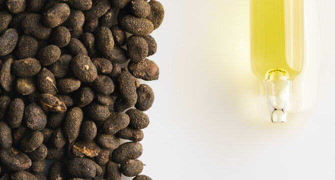 Bakuchiol seeds and Vitamin C serum dropper, macro shot.