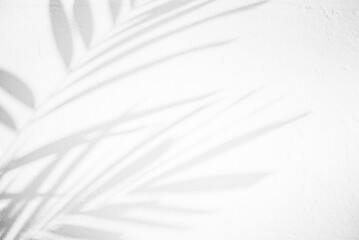 Shiny Leaves Shadow on Concrete Background , causing noise and grain texture