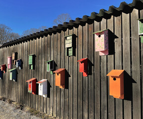 Bird houses