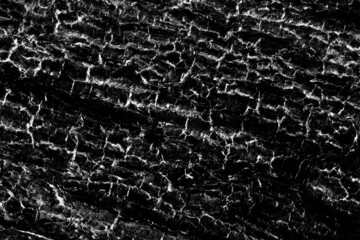 Abstract rugged dark texture and pattern background of old tree bark