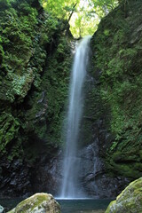 Naklejka premium 神通の滝・夏