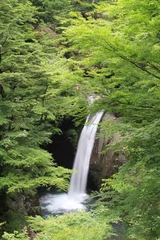 Foto op Canvas 大釜の滝３ © NAOKI　KOUSAKA