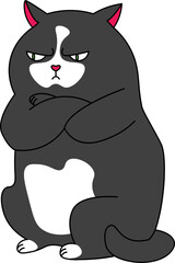 Animal character angry black fat cat