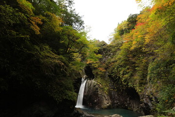 大釜の滝・秋