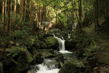 渓谷の道