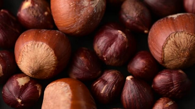hazelnuts rotate,bean healthy food,raw hazelnut on black 

