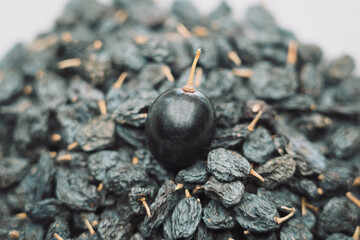 one blue grape on a bunch of raisins with blurred background