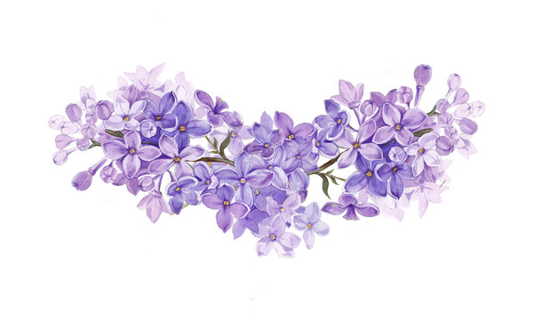 Watercolor wreath of lilac branches.Female flower.