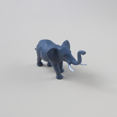 Elephant with tusks in the center on a gray background with copy space. Minimal wild animal scene.
