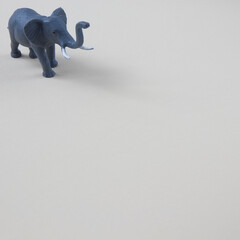 An elephant with tusks in the upper left corner on a gray background with copy space. Minimal wild animal scene.
