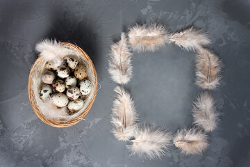 Happy Easter greeting card in grunge style on dark background. Easter basket with quail eggs and rectangular frame of light feathers. Top view. Flat lay.