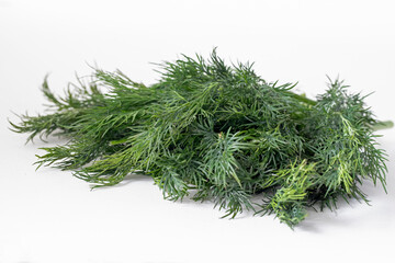Dill plant (Anethum graveolens) on white background