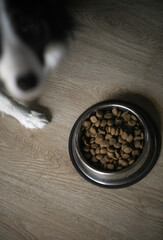 Frond Photo of Pet Food with Dog in Background