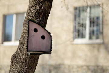 bright multi-colored house for birds hanging on a tree