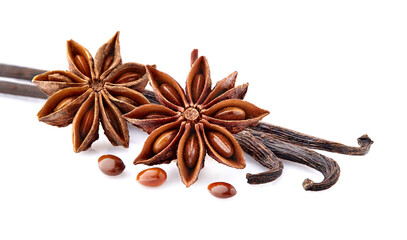 Anise with vanilla  isolated on white background. Spices closeup.
