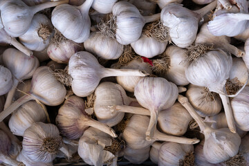 beautiful white garlic stacked on top of each other, they form an interesting pattern.