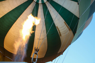 Obraz premium lamarada warming up, before takeoff in the serengeti