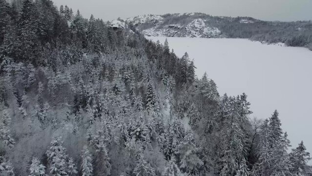Soaring Over Lake Dingle Dam Snow Covered Trees Sweden Mountain 4K 30fps