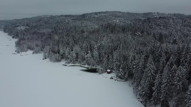Descending Into Snow Covered Trees Lake Dingle Sweden 4K 30fps