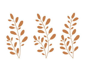 leaves vector elements, hand drawn leaves, branch with leaves, elegant illustration for design leaf