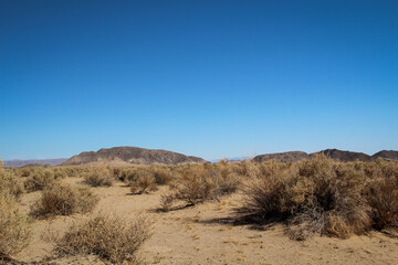 Blick in die Wüste in Nevada. Viel Sand, Berge und wenig Vegetation. Ein wunderschöner Ort.
