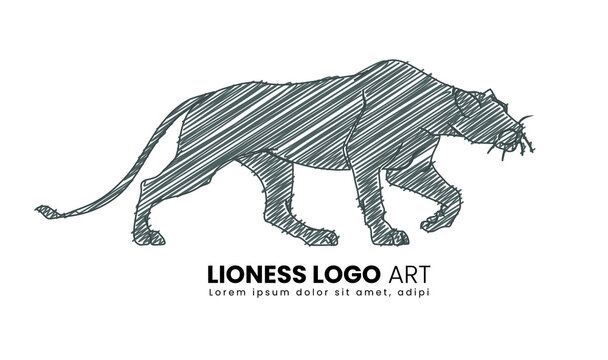 Lioness scribble art