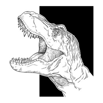 recommend clip art: black and white line illustration tyrannosaurus rex