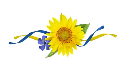 Gartenposter Yellow sunflower and blue periwinkle with silk ribbons in a floral arrangement isolated on white background. Concept of Ukraine © Ortis