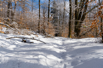 Winterwanderung zum Berg Hrazeny im Boehmischen Niederland