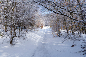 Winterwanderung zum Berg Hrazeny im Boehmischen Niederland