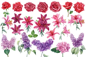 Fotobehang Roses, lilac and lilies, set of burgundy, violet and pink flowers on isolated white background, watercolor illustration © Hanna
