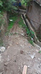 Fototapeta premium railway in the woods