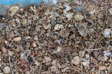 brown stone and soil surface
