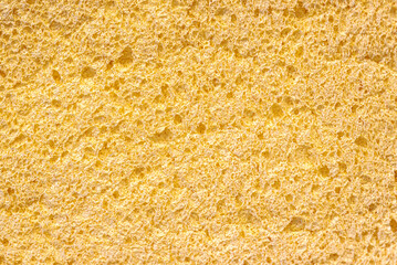 Closeup of a sponge surface