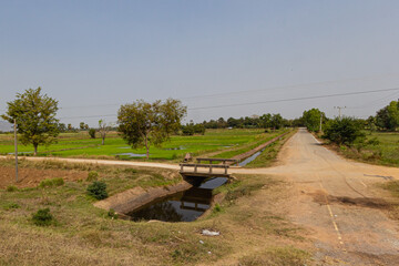Fototapeta na wymiar The irrigation canal next to it has rice fields and roads.