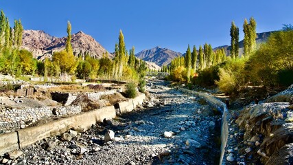 landscape of the mountains