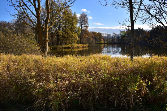 Maly hrbovsky rybnik, Blansky les in the background