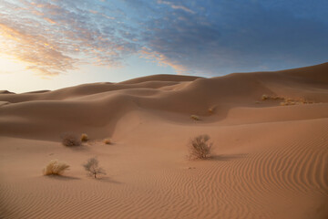 Fototapeta na wymiar Rub al-Khali sand dunes