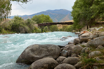 rapids of a mountain river flowing among trees