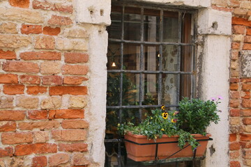 Fototapeta na wymiar The flowers are under the window in this smsll Italian villa.