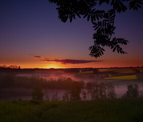 Beautiful colorful sunrise with a tree silhouette in the foreground. Seasonal spring scenery of Northern Europe.